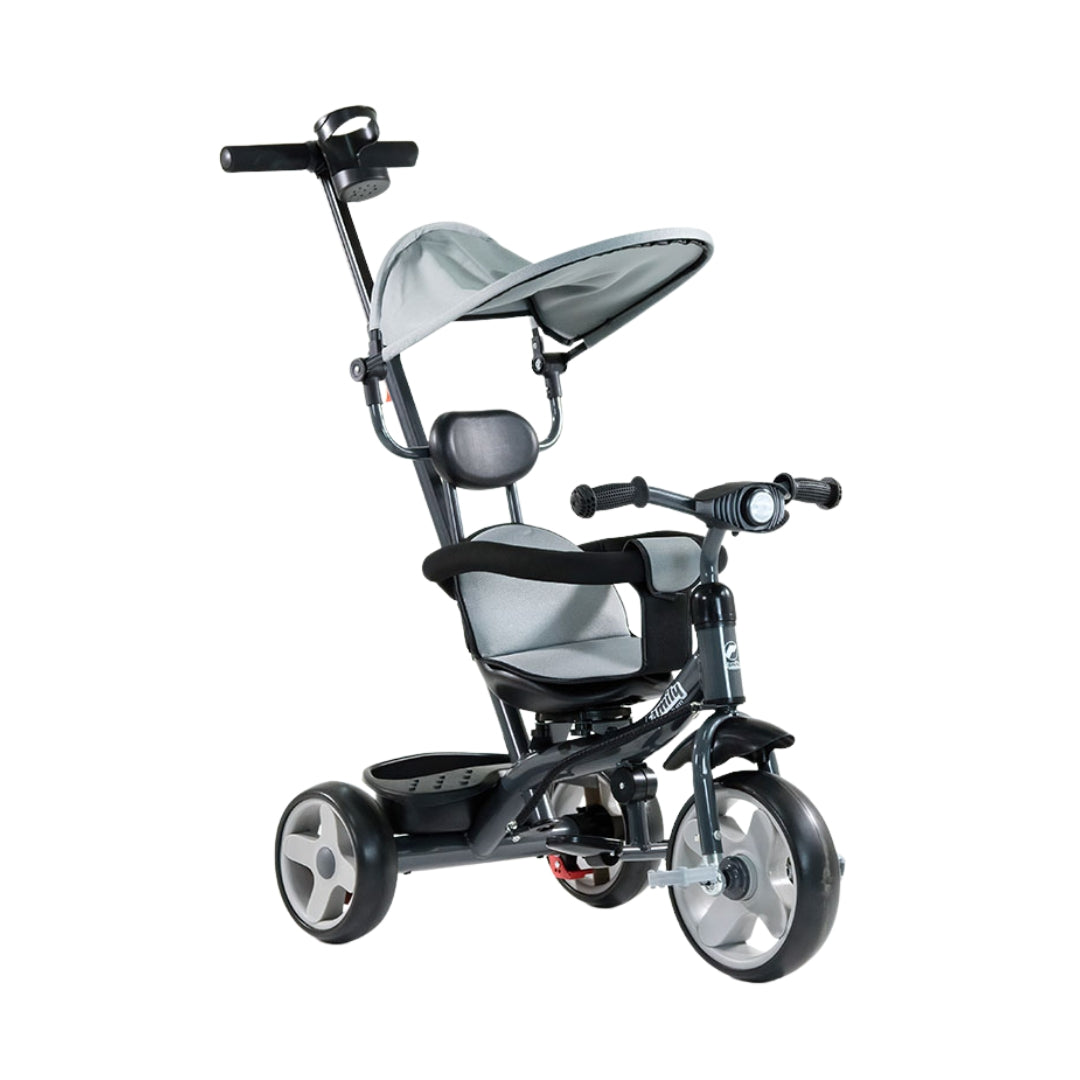 FAMILY F6681 Kids’ Trike with Canopy, Push Handle and Water Bottle Holder