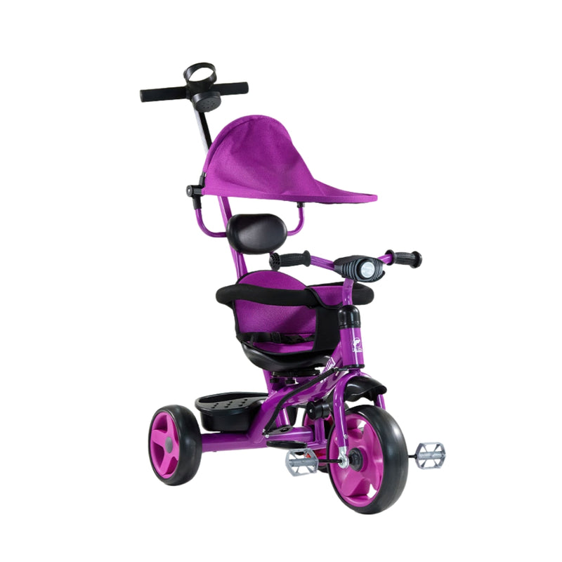FAMILY F6681 Kids’ Trike with Canopy, Push Handle and Water Bottle Holder
